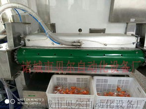 廠家直銷滾動(dòng)式食品真空包裝機(jī),休閑食品包裝機(jī)械