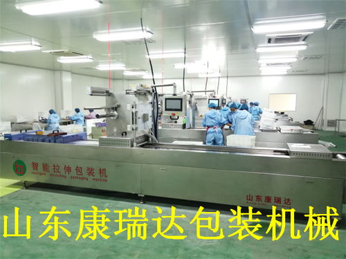 鴨脖全自動連續真空包裝機哪家好？山東康瑞達，誠信商家誠包裝機械的優秀選擇